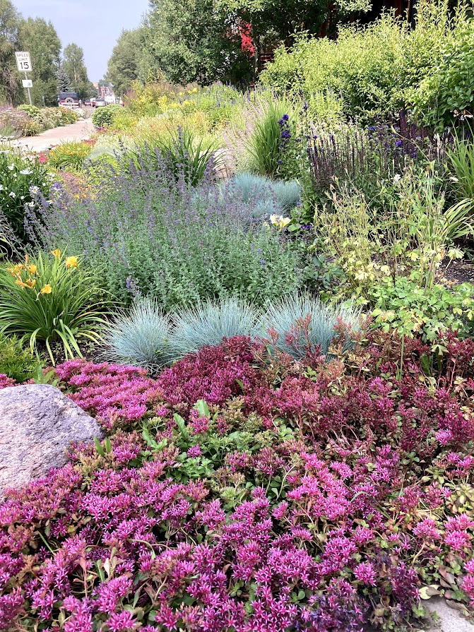 Rain garden — water harvesting in practice