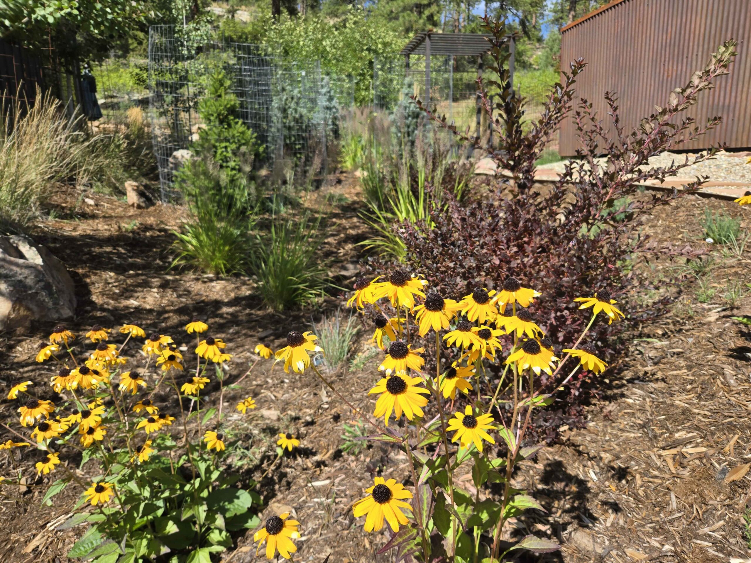 Privacy, Written in Plants — detail