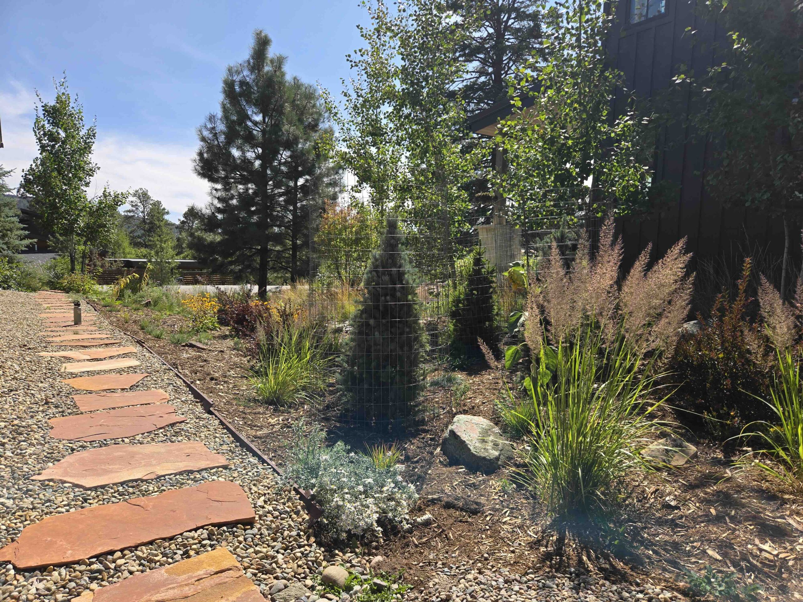 Privacy, Written in Plants