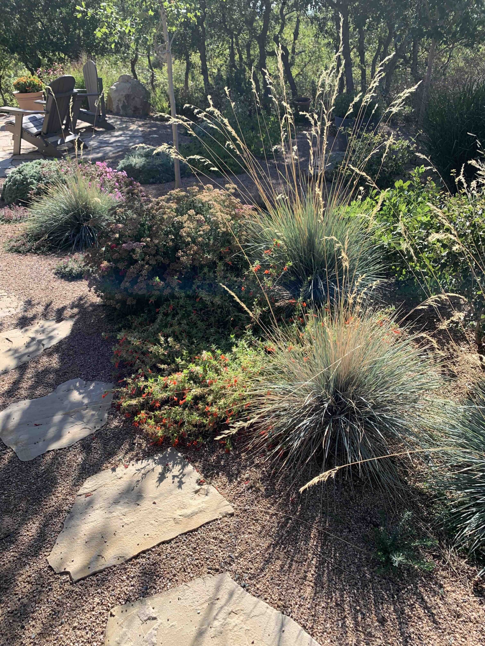 Where the Creek Was Always Meant to Be — bottom left