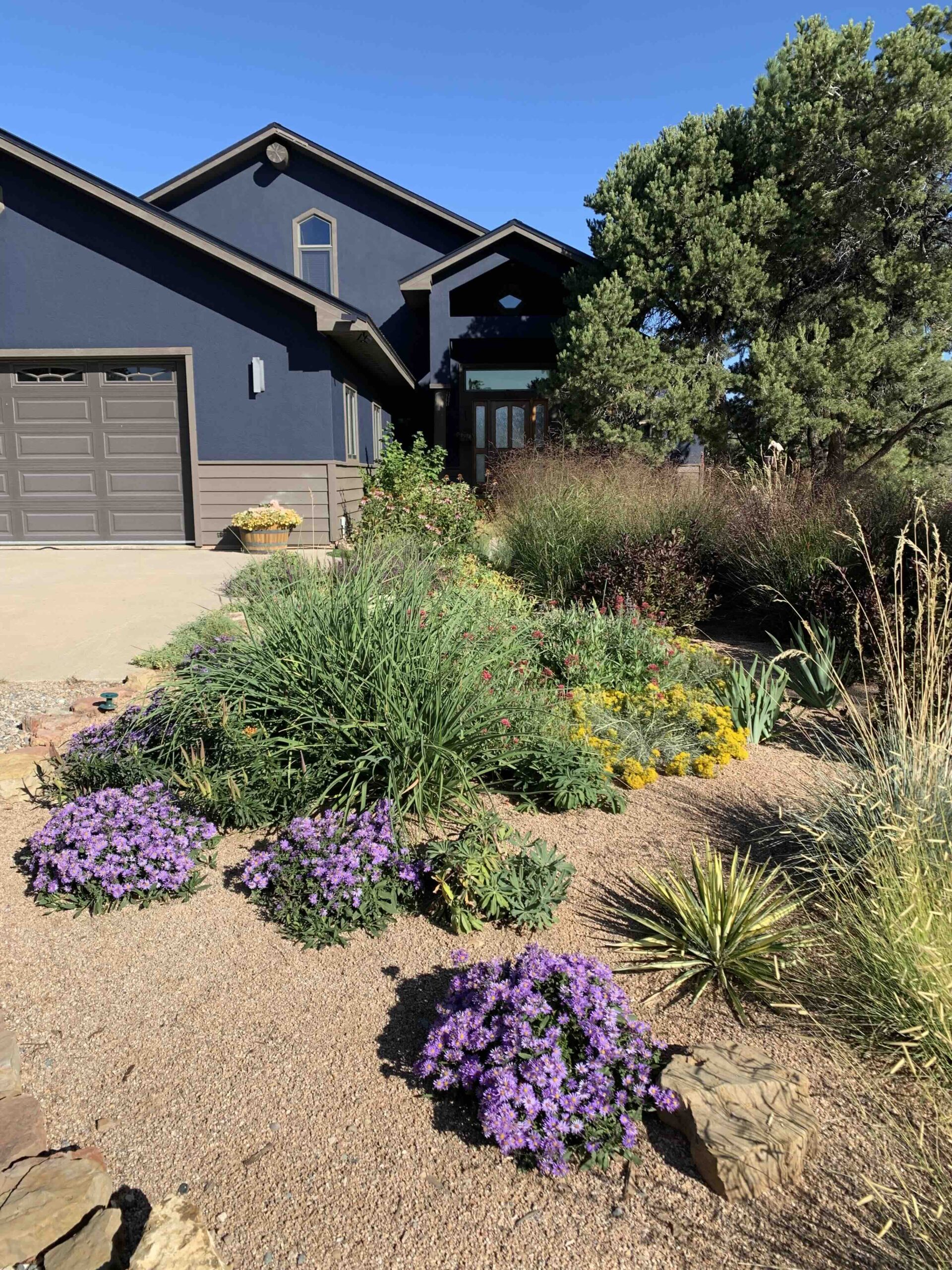 Where the Creek Was Meant to Be