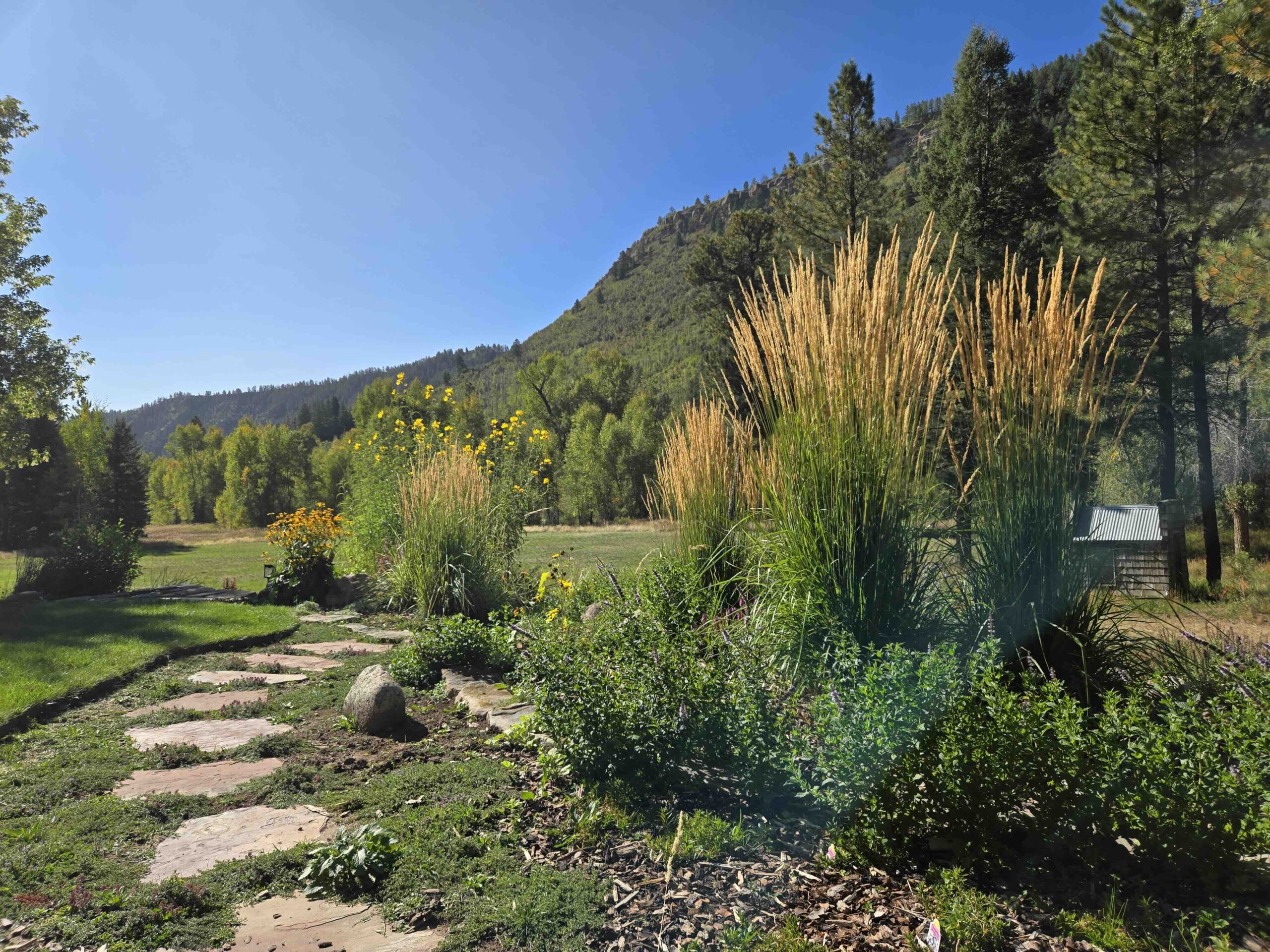 Reclaimed, Then Given Back