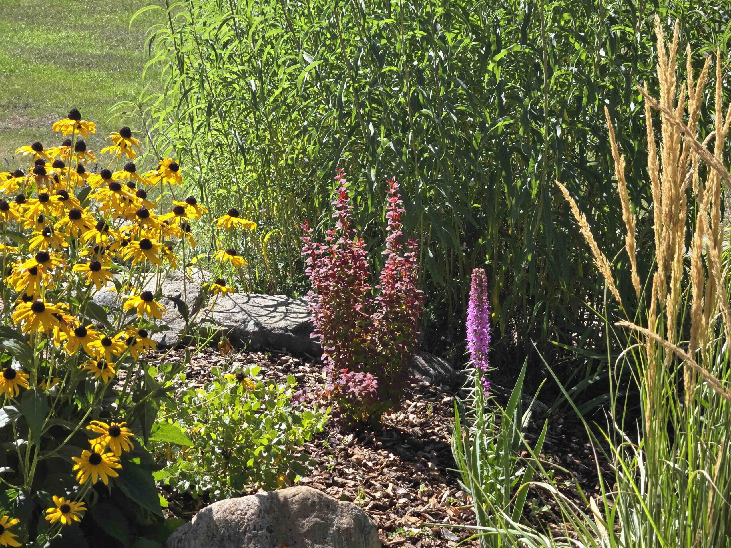 Reclaimed, Then Given Back — planting