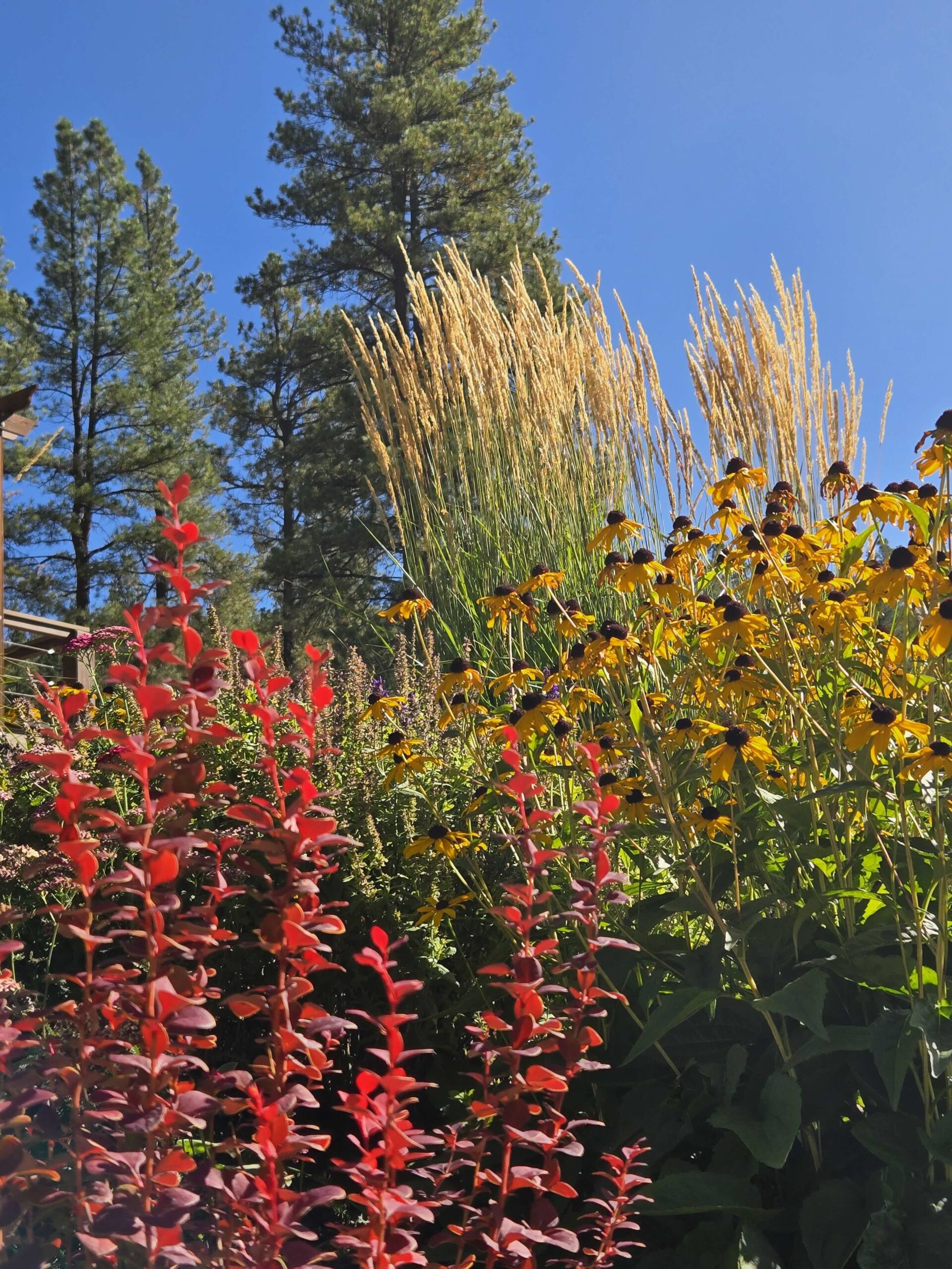 Reclaimed, Then Given Back — detail