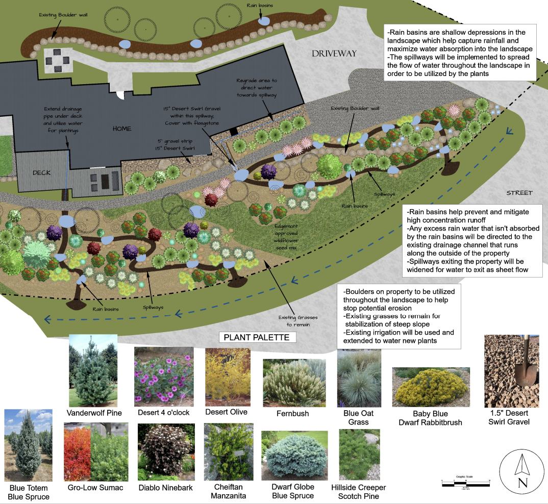 The Hillside That Drinks — planting plan