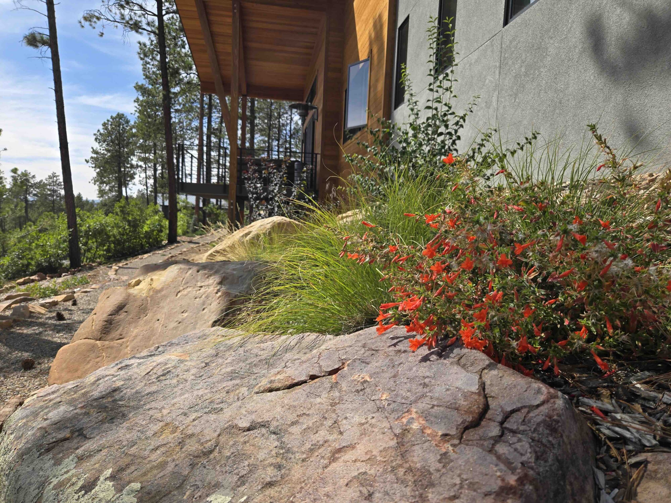 The Hillside That Drinks — detail