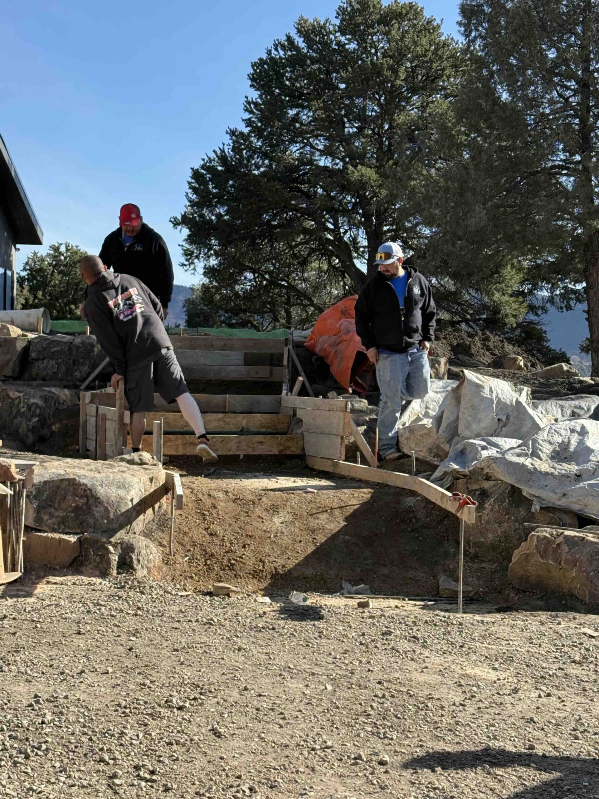 Columbine Landscapes installation — careful site preparation and planting