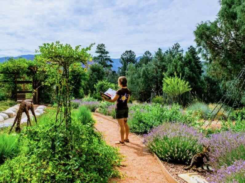 Final review — Columbine Landscapes