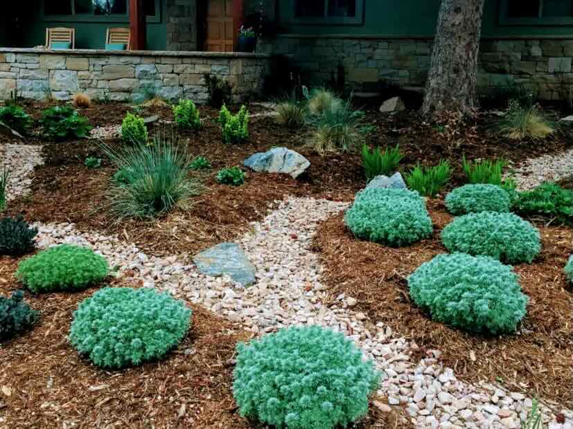 Irrigation installation — Columbine Landscapes
