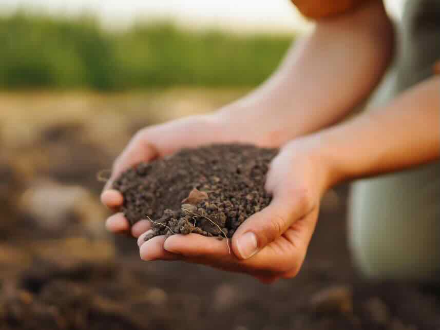 Site preparation — Columbine Landscapes