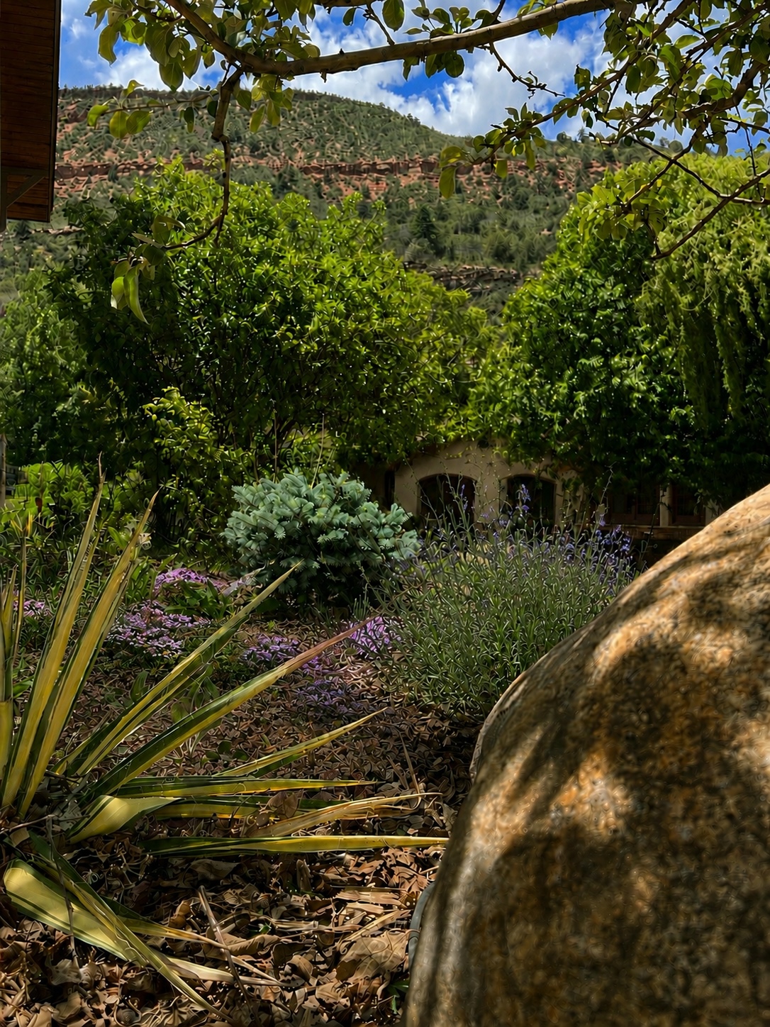 Mountain Creek Residence — bottom left