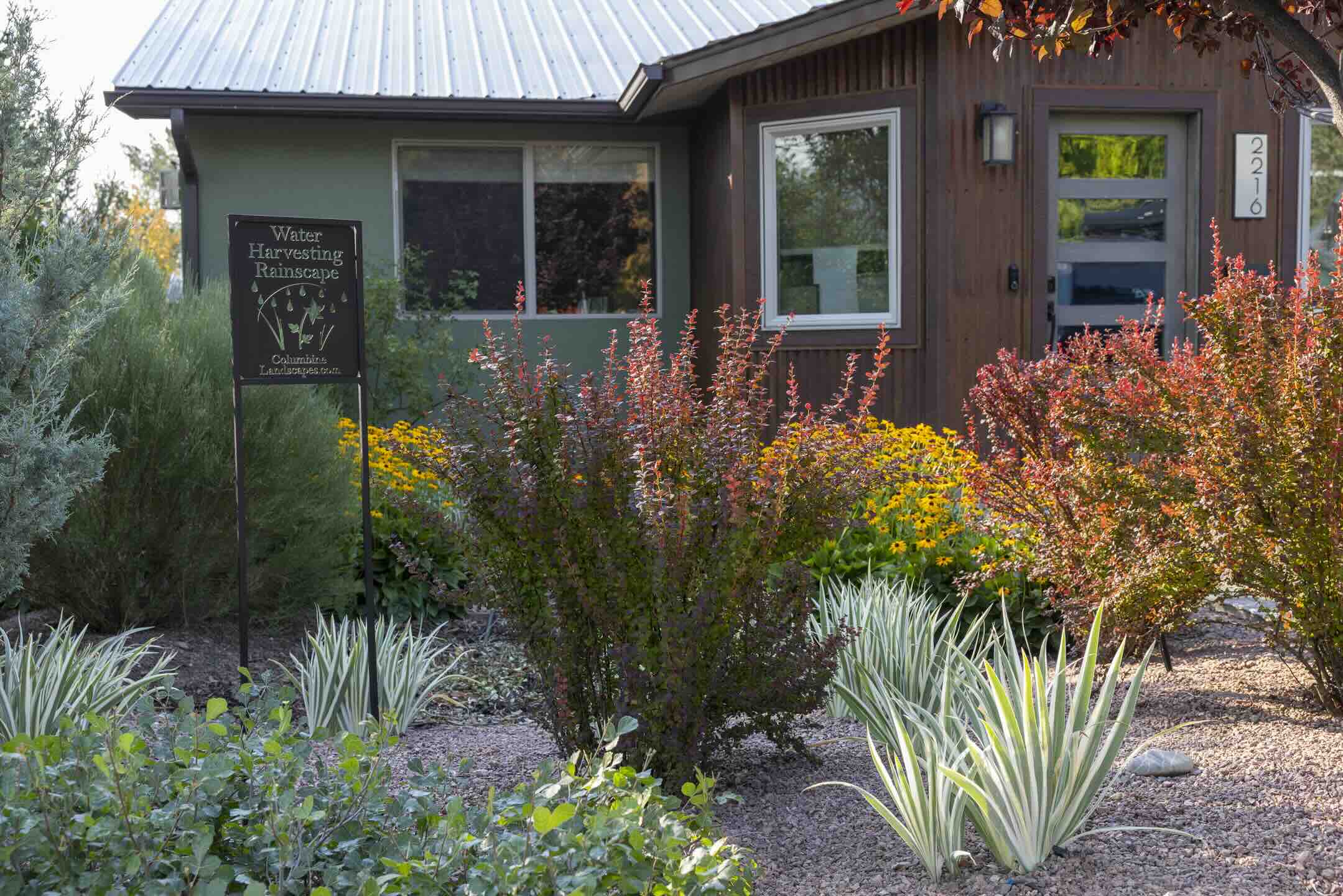 Water Harvesting Rainscape sign among red barberry, black-eyed Susans, and variegated yucca at Crestview
