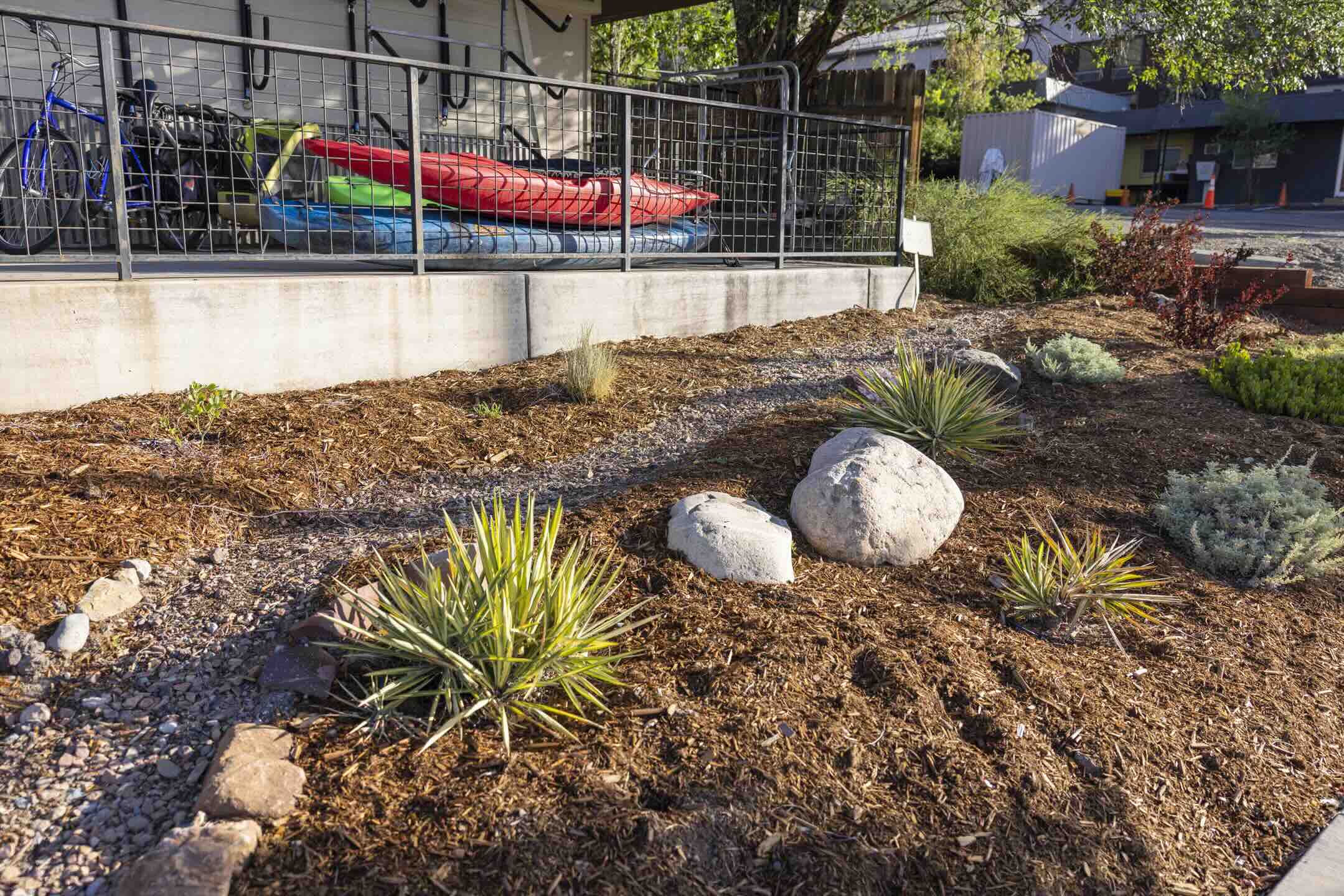 Mulched rain garden bed with boulders and native yucca near bike and kayak storage at Durango Outdoor Exchange