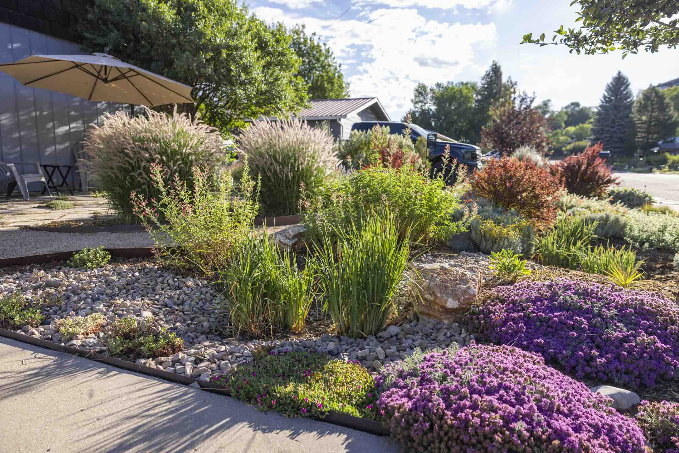 Dry creek bed with steel edging bordered by creeping thyme and ornamental grasses in Durango