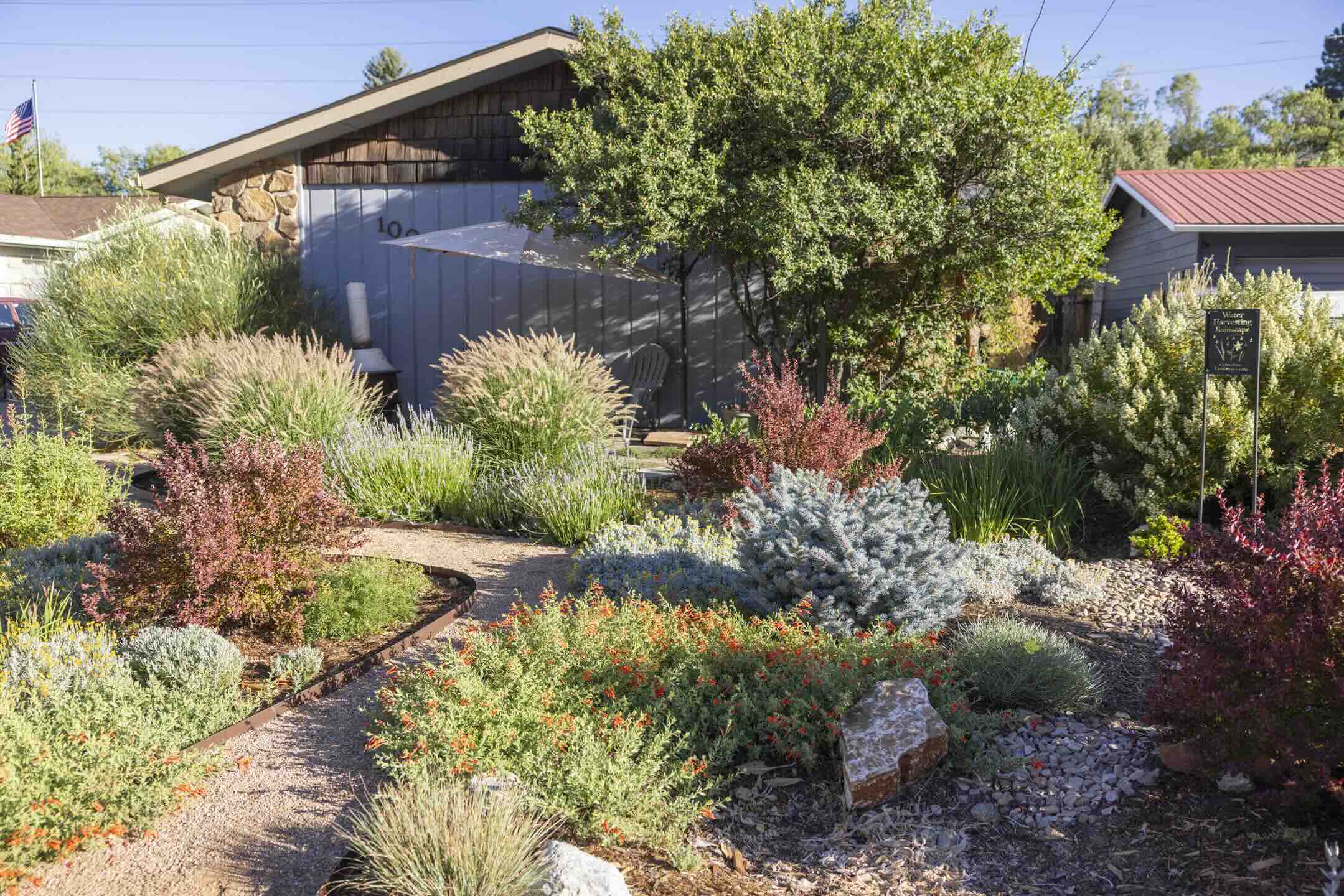 Water Harvesting Rainscape sign along a curved gravel path through mixed native plantings