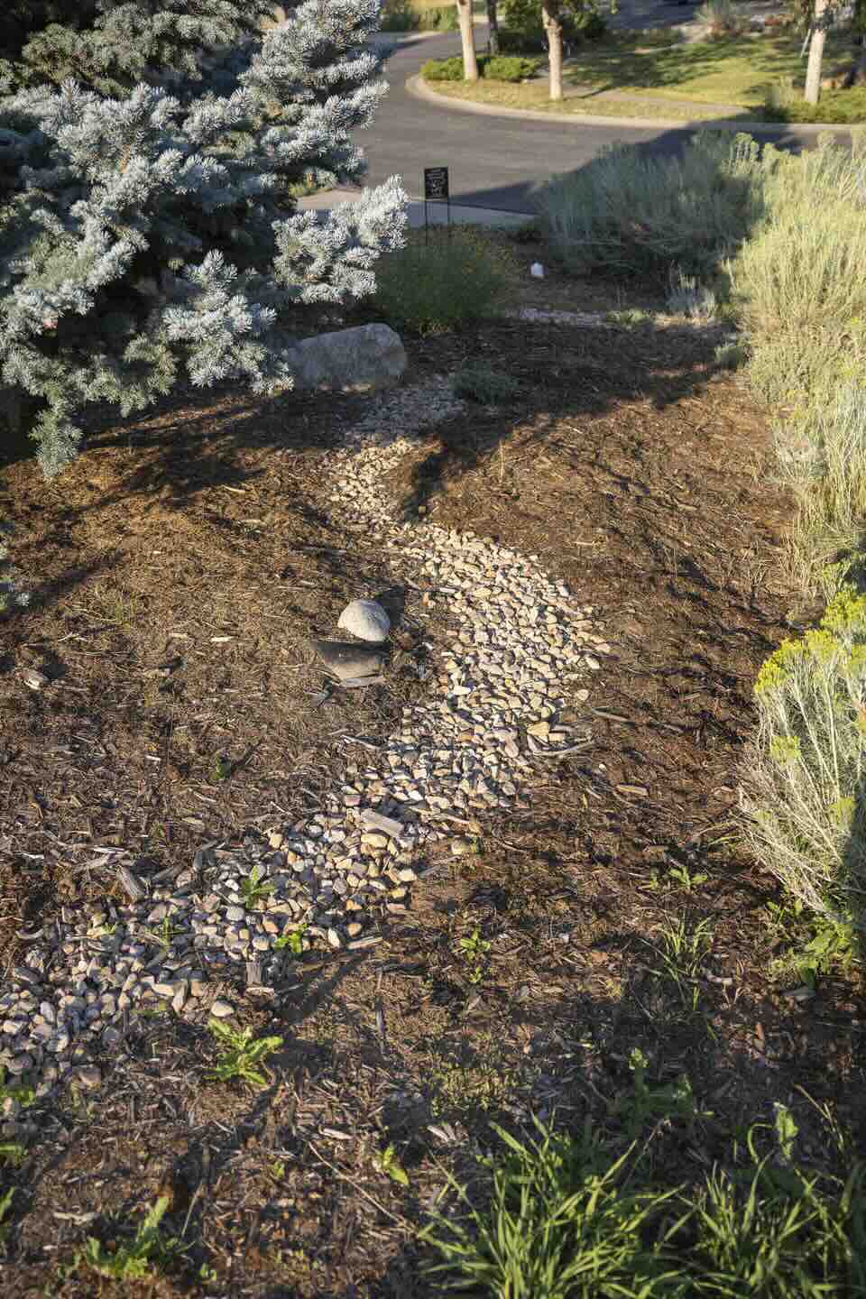 Aerial view of a curving dry creek bed with river rock flowing through mulched beds at Hillcrest