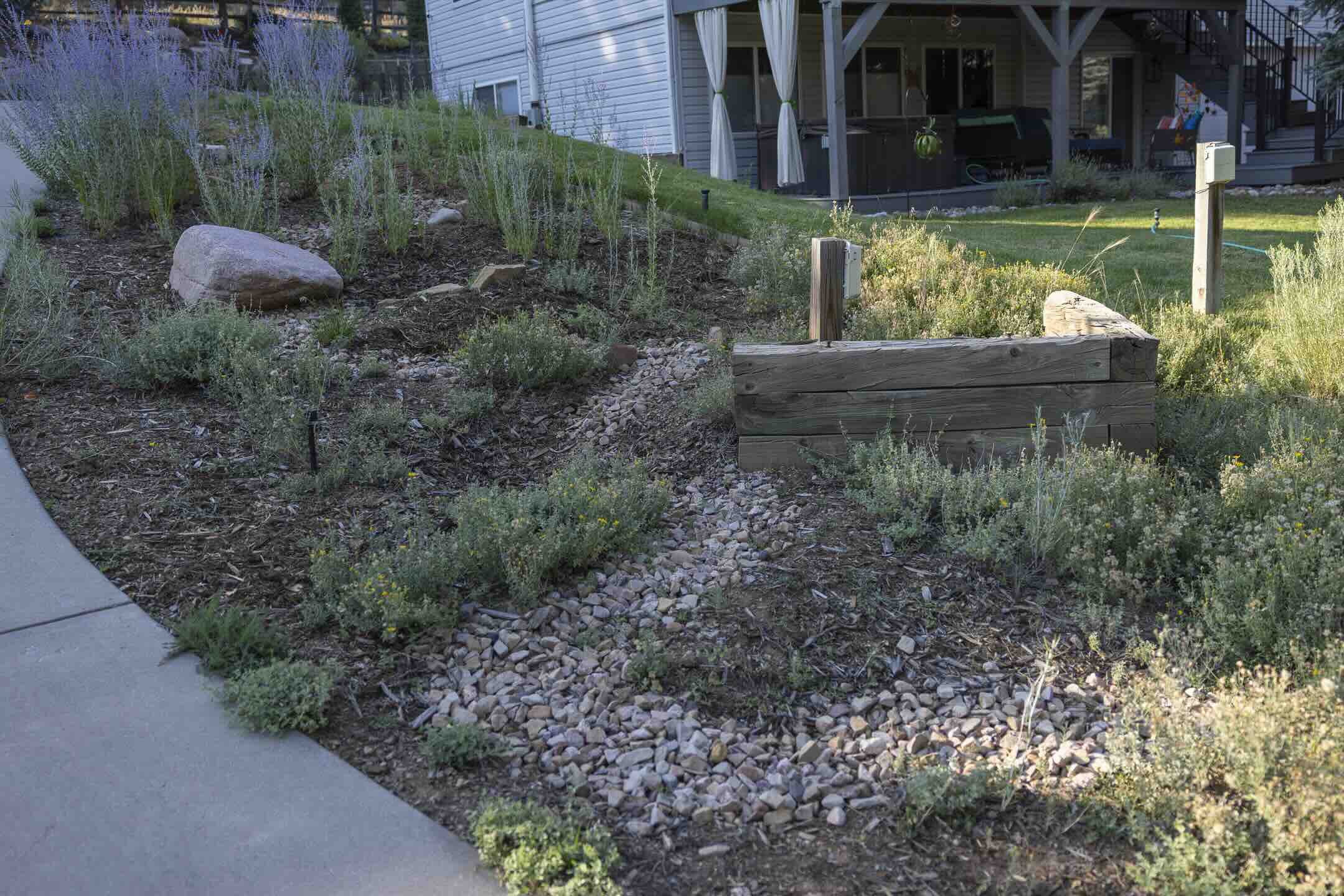 Timber-edged basin and dry creek bed catching runoff on a sloped lawn at Hillcrest