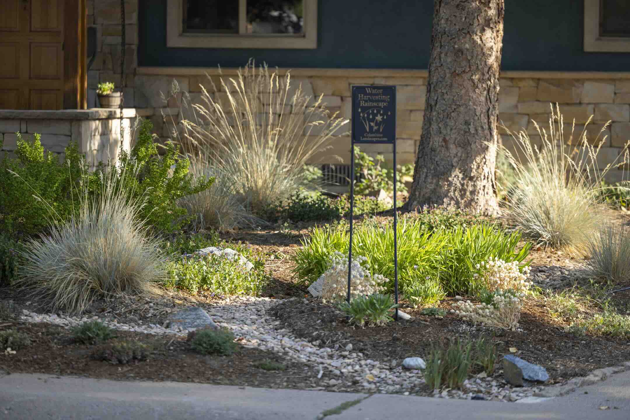 Water Harvesting Rainscape sign among native grasses and a dry creek bed at Riverview