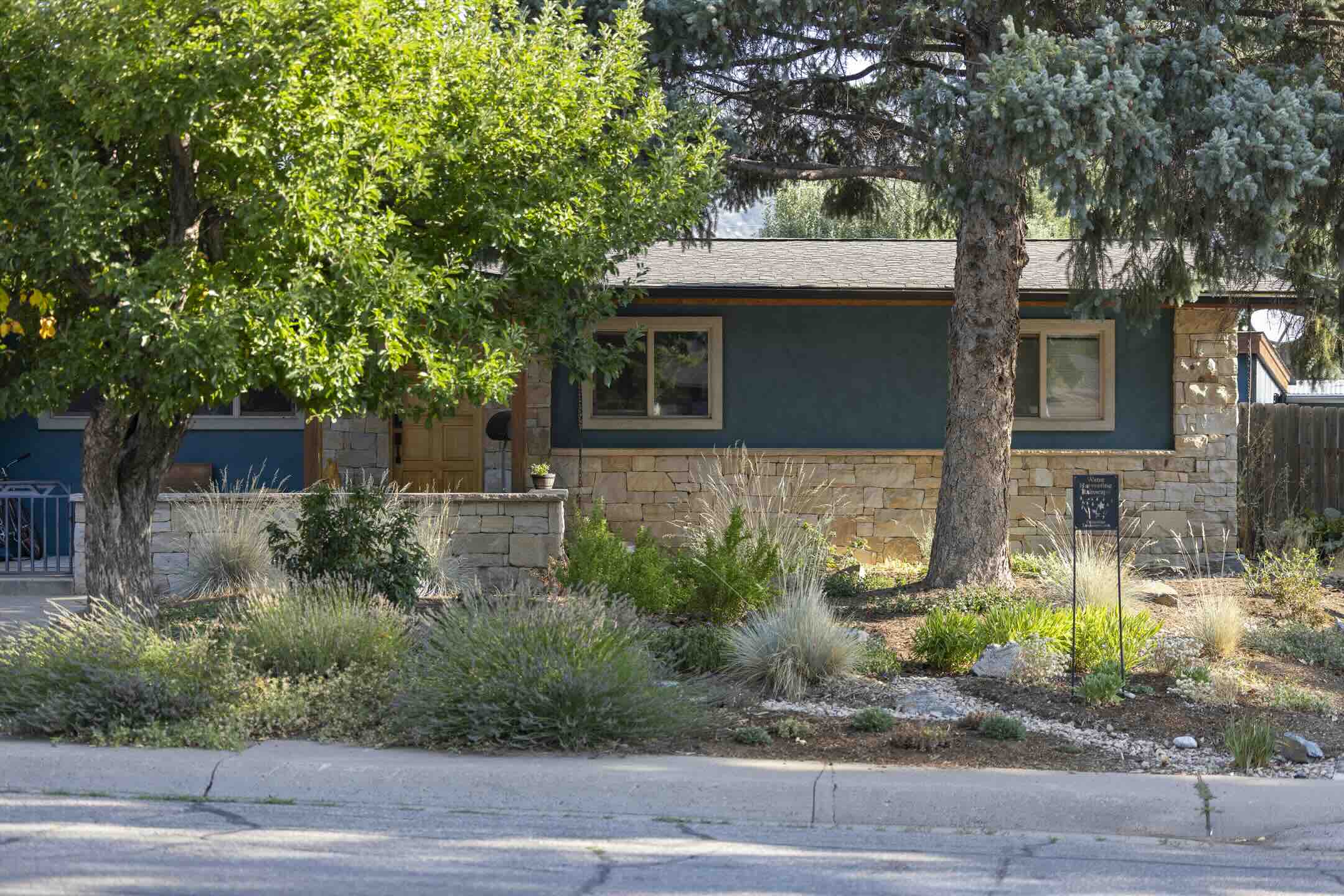 Streetside view of a shade-loving native garden with grasses and lavender at Riverview in Durango